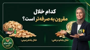 تفاوت خلال بادام زمینی و بادام درختی؛ کدام برای تولید مقرون‌به‌صرفه‌تر است؟