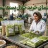 خرید خلال پسته عمده؛ راهنمای انتخاب، قیمت و سفارش از تولیدکننده