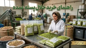 خرید خلال پسته عمده؛ راهنمای انتخاب، قیمت و سفارش از تولیدکننده