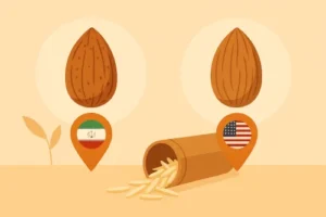 تفاوت بادام درختی ایرانی و بادام کالیفرنیایی